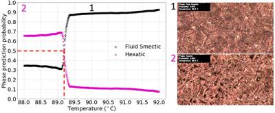 Deep learning techniques for the localization and classification of liquid crystal phase transitions